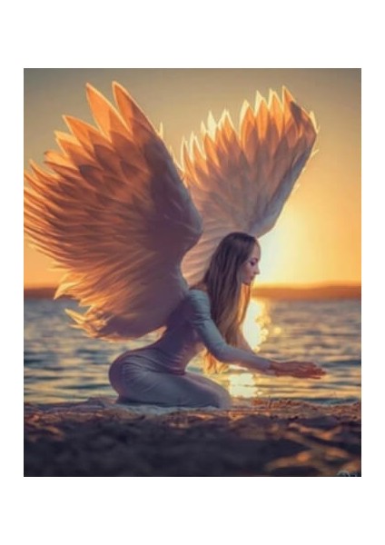 Canvas Kanatlı Kadın Sayılarla Boyama Seti Kasnaklı