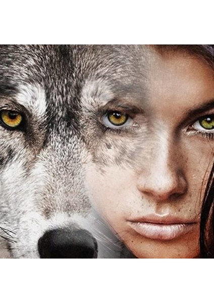 Hobby Kurt Kadın Sayılarla Boyama Seti Rulo