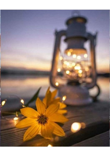 Hobby Işıltılı Kasımpatı Sayılarla Boyama Seti Rulo