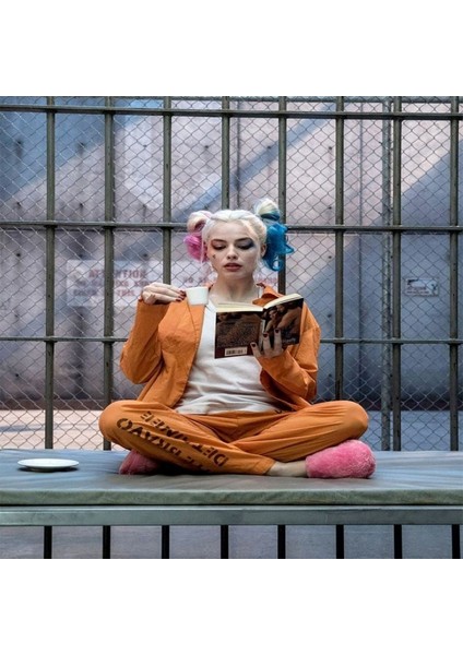 Hobby Quinn'in Bir Günü Sayılarla Boyama Seti Rulo