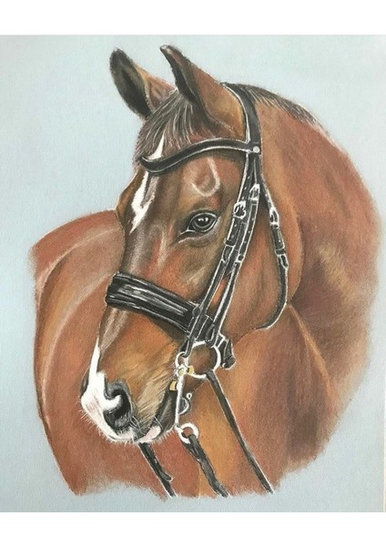 Canvas Düslerdeki At Sayılarla Boyama Seti Kasnaklı