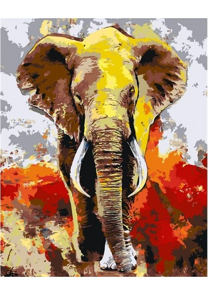 Canvas Dervis Fil Sayılarla Boyama Seti Kasnaklı