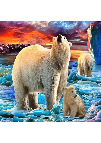 Hobby Kutup Ayılari Sayılarla Boyama Seti Rulo