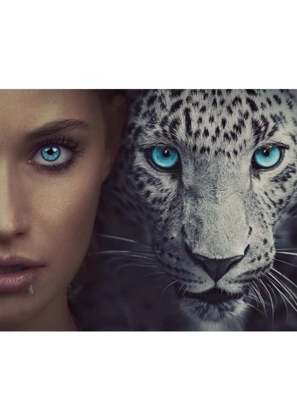 Hobby Mavi Gözler Sayılarla Boyama Seti Rulo