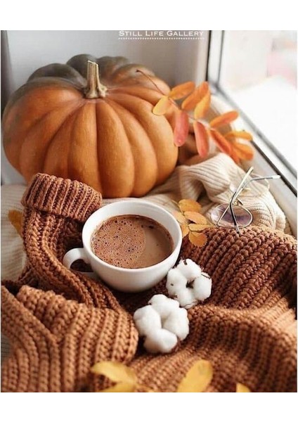 Canvas En Sevilen Kıs Boyama Seti Kasnaklı