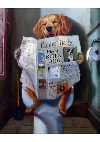 Canvas Gazete Okuyan Köpek Sayılarla Boyama Seti Kasnaklı