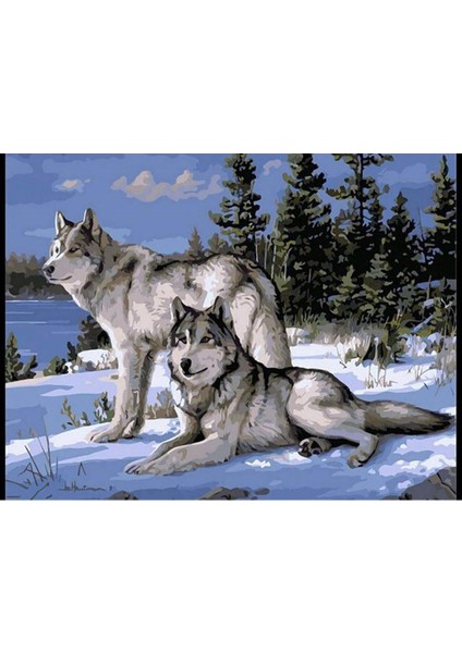 Canvas Kurt Bakısı Sayılarla Boyama Seti Kasnaklı