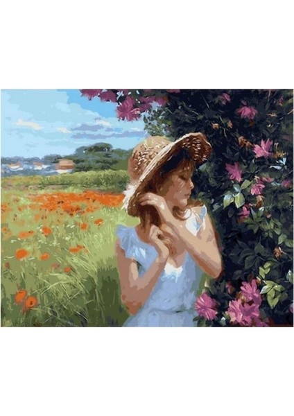 Hobby Kır Güzeli Sayılarla Boyama Seti Rulo