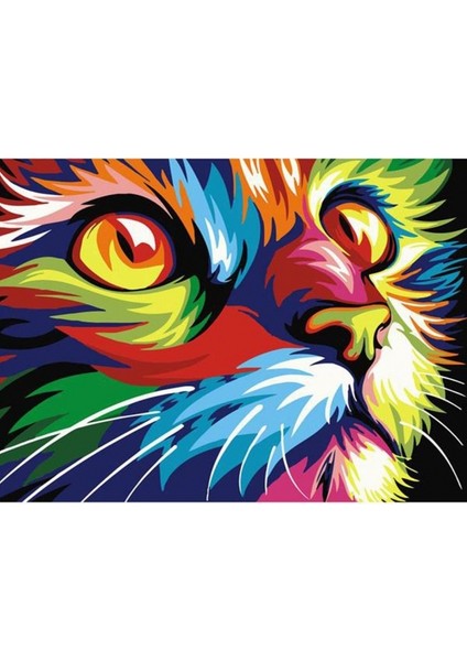 Hobby Renkli Tekir Sayılarla Boyama Seti Rulo