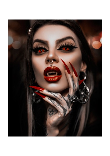 Hobby Şeytan Bakışı Sayılarla Boyama Seti Rulo