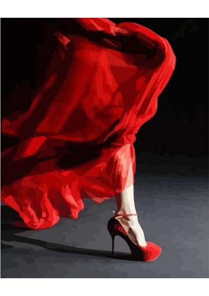 Hobby Kırmızı Ayakkabı Sayılarla Boyama Seti Rulo