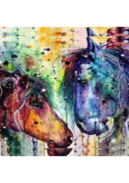 Canvas Renkli Atlar Sayılarla Boyama Seti Kasnaklı