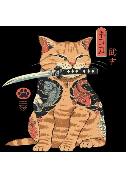 Canvas Savascı Kedi Sayılarla Boyama Seti Kasnaklı