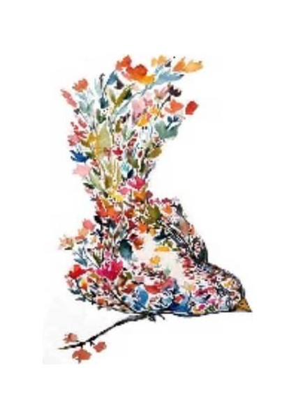 Hobby Zarif Kuş Sayılarla Boyama Seti Rulo