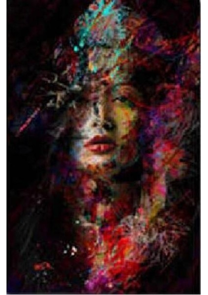 Hobby Gizemli Kadın Sayılarla Boyama Seti Rulo