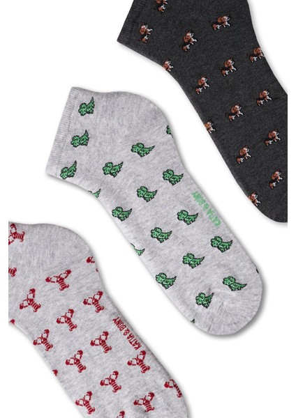 Erkek Hayvan Desenli 3'Lü Patik Çorap fiyatları