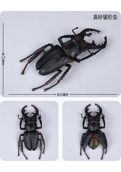 Balarısı-Simülasyon Hayvan Böcek Yusufçuk Kelebek Mantis Örümcek Arı Dynastes Hispellinus Cerambycidae Locust Çocuk Oyuncak (Yurt Dışından)