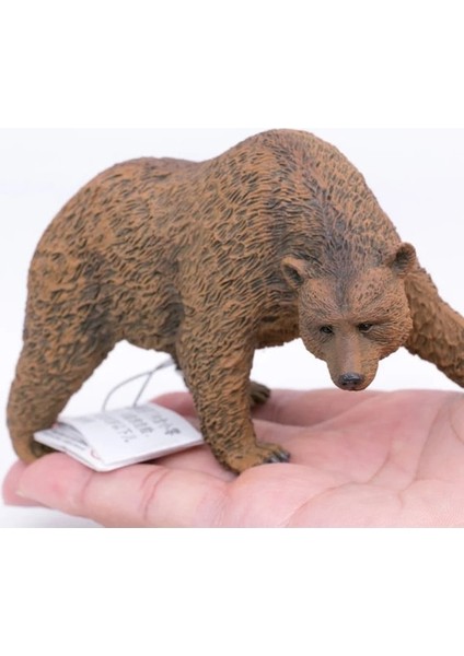 Collecta Yaban Hayatı Hayvanlar Boz Ayı Pvc Plastik Simülasyon Oyuncak Modeli 88560 (Yurt Dışından) modelleri