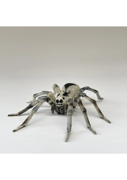 Ghbjgh 01-Tarantula Örümcek Simülasyon Böcek Hayvan Modeli Oyuncak Koleksiyonu Süs Plastik Oyuncak Statik Hayvan Şekilli Kalıp (Yurt Dışından)