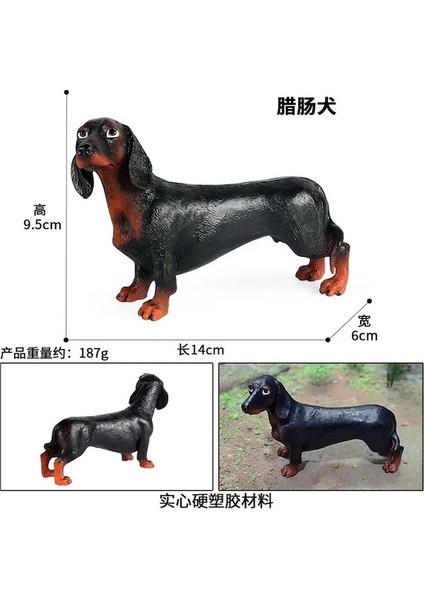 1277 Dachshund-Kafkas Herding Köpek Simülasyon Hayvanlar Figürleri Yapay Model Köpekler Koleksiyonu Oyuncak Çocuklar Çocuklar Için Doğum Günü Si Süsler (Yurt Dışından)