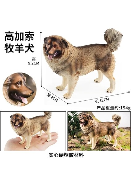 1277 Dachshund-Kafkas Herding Köpek Simülasyon Hayvanlar Figürleri Yapay Model Köpekler Koleksiyonu Oyuncak Çocuklar Çocuklar Için Doğum Günü Si Süsler (Yurt Dışından) fırsatları