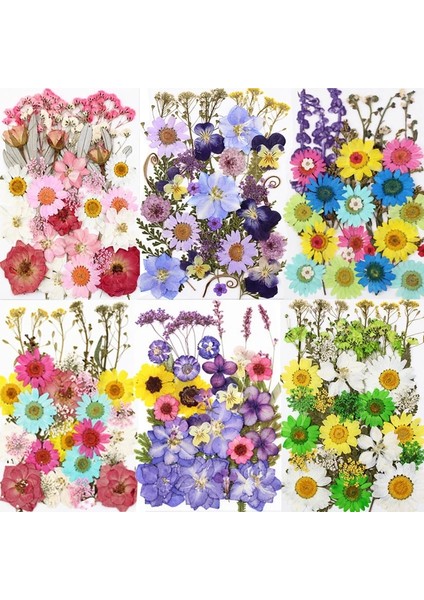 No.9 Stili Kurutulmuş Çiçekler Dıy Uv Reçine Doğal Çiçek Çıkartmalar Dolum Takı Dekorasyon Çiçek Nail Art Kuru Güzellik Çıkartması El Sanatları (Yurt Dışından) fiyatları