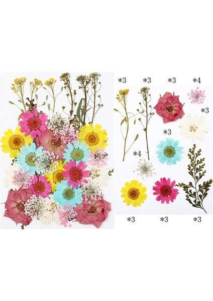 No.9 Stili Kurutulmuş Çiçekler Dıy Uv Reçine Doğal Çiçek Çıkartmalar Dolum Takı Dekorasyon Çiçek Nail Art Kuru Güzellik Çıkartması El Sanatları (Yurt Dışından) modelleri