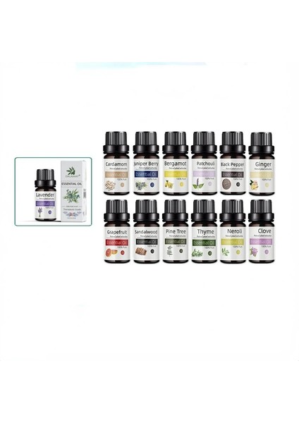 Melaleuca Tarzı Kokulu Mum Esansiyel Yağı Çay Ağacı Gül Lavanta Sandal Ağacı Masajı Mum Yapımı Için Esansiyel Koku Yağı (Yurt Dışından) fiyatları