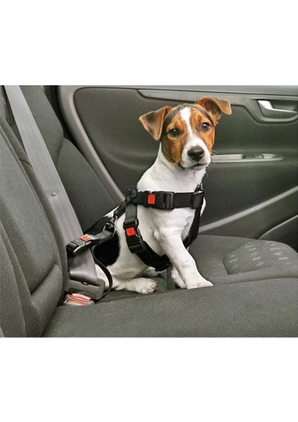 Köpek Araç Emniyet Kemeri S 35-50 cm Siyah fiyatları