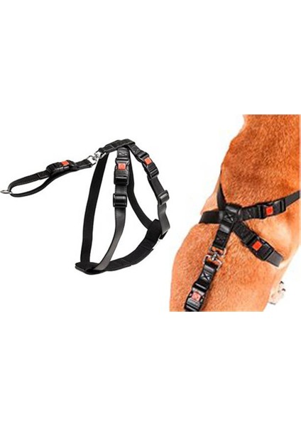 Köpek Araç Emniyet Kemeri S 35-50 cm Siyah modelleri