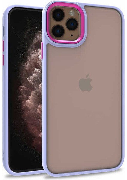 iPhone 11 Pro Kılıf Flora Sert Silikon Arkası Cam Şeffaf Mor