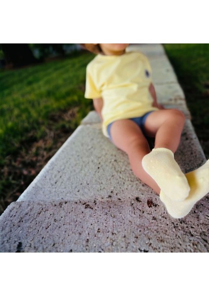 4 Lü Nature Soket Çorap Seti (Karışık Renkli) indirimleri