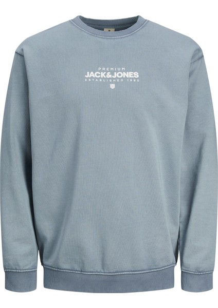Jprblulake Sweatshirt 12251098