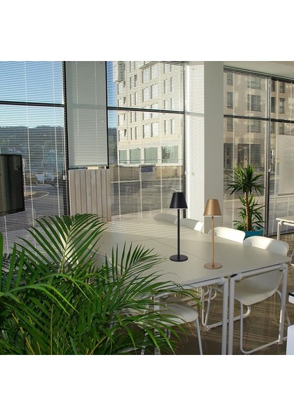 Bronz Modern LED Cordlessmasa Lambası Şarj Edilebilir Pil Masa Lambası Dokunmatik Atmosfer Masa Lambası Kişilik Otel Cafe Restaurant Masa (Yurt Dışından) fırsatları