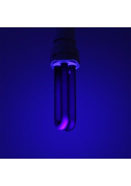 E27 Uv Ultraviyole Floresan Siyah Işık Cfl Ampul Lamba 220V (Yurt Dışından) fırsatları
