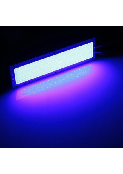 20W Tarzı Mavi 1000LM LED Cob Işık Şeridi Panel Lambası Dc 12V 20W x Soğuk Sıcak Beyaz Mavi Projektör Kaynağı Ampuller Dıy Çalışma Işığı (Yurt Dışından)