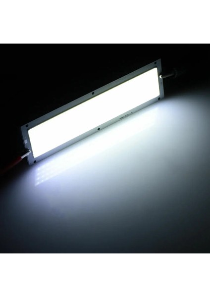 20W Tarzı Mavi 1000LM LED Cob Işık Şeridi Panel Lambası Dc 12V 20W x Soğuk Sıcak Beyaz Mavi Projektör Kaynağı Ampuller Dıy Çalışma Işığı (Yurt Dışından) fırsatları