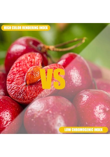 30W LED Ampul Kamp Işık Asılı Çadır Çalışma Işığı Ekonomi 15WWWWW Açık Bahçe Taşınabilir Gece Acil Aydınlatma (Yurt Dışından) indirimleri