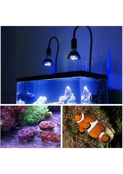54W Tarzı 45W Paketi LED Akvaryum Ampul PAR38 Spot Ampul LED Akvaryum Aydınlatma Ampul Balık Tankı Için Tam Spektrum (Yurt Dışından)