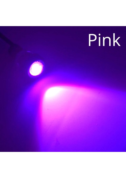 Pembe 2 Adet Yeni 23MM Araba Kartal Göz Gümüş Kabuk Drl LED Gündüz Farları LED 12V Yedekleme Geri Vites Park Sinyali Otomobil Lambası (Yurt Dışından)