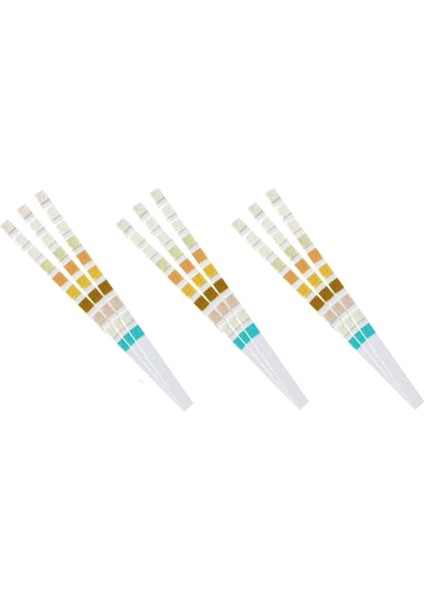 100 Strip Idrar Test Stripi 10 Parametre (Yurt Dışından)