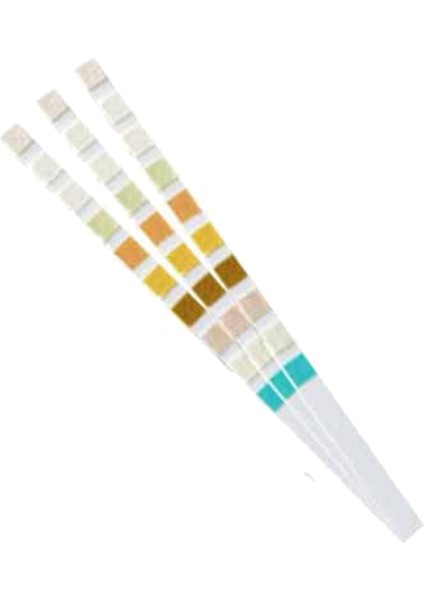 100 Strip Idrar Test Stripi 10 Parametre (Yurt Dışından)