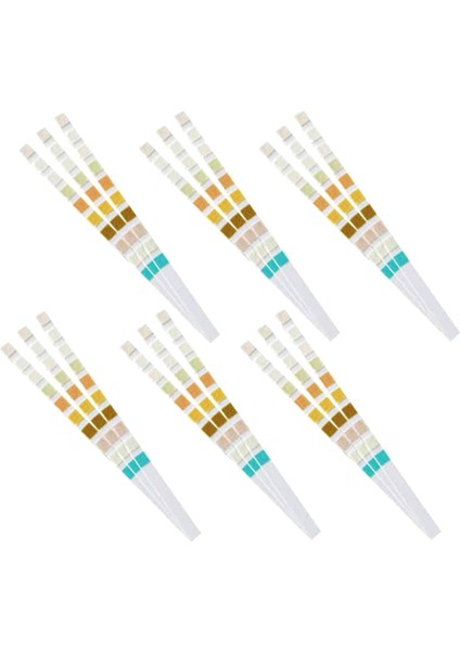 100 Strip Idrar Test Stripi 10 Parametre (Yurt Dışından)