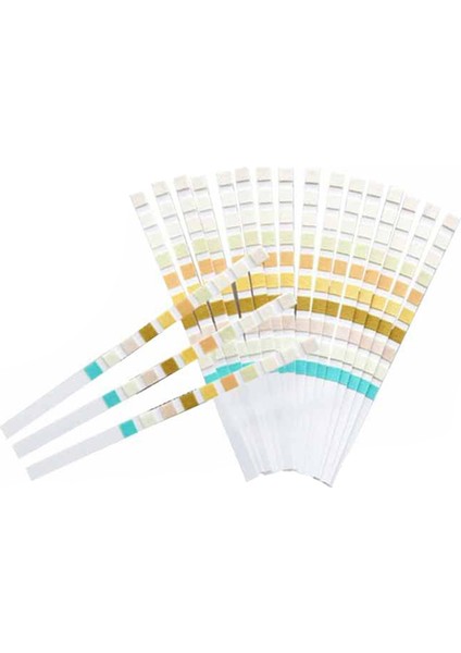 100 Strip Idrar Test Stripi 10 Parametre (Yurt Dışından)
