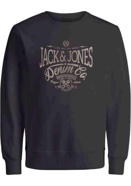 Jprbluerıc Sweatshirt 12251309