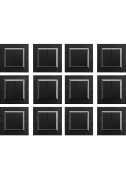 Quantum Siyah Komütatör 12'li Paket (Çerçeve Dahil)