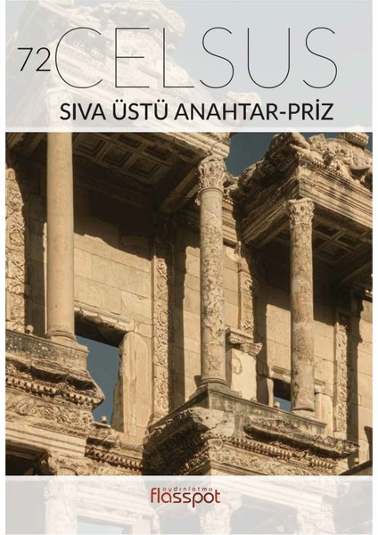 Celsus Antik Galvaniz Loft Retro Sıva Üstü Anten Prizi F-Kon