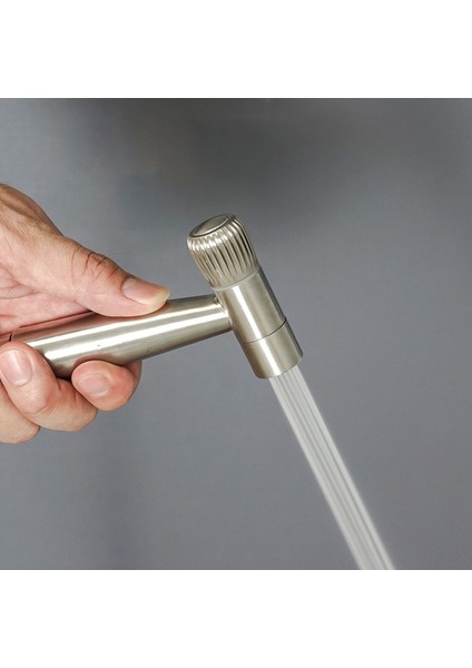 C Yalnızca Püskürtücü Stili Paslanmaz Çelik Iki Kurulum Tuvalet El Bide Musluk Banyo Bide Duş Püskürtücü Pirinç T Adaptörü Tankı Kancalı Tutucu (Yurt Dışından) indirimleri