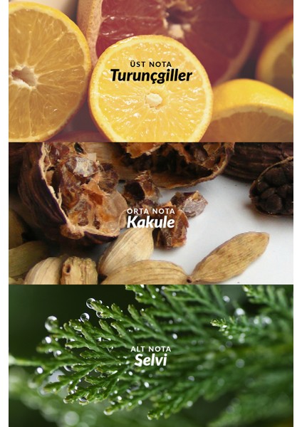 Full Speed Erkek Parfüm Rollon ve Saç Vücut Şampuanı Paketi