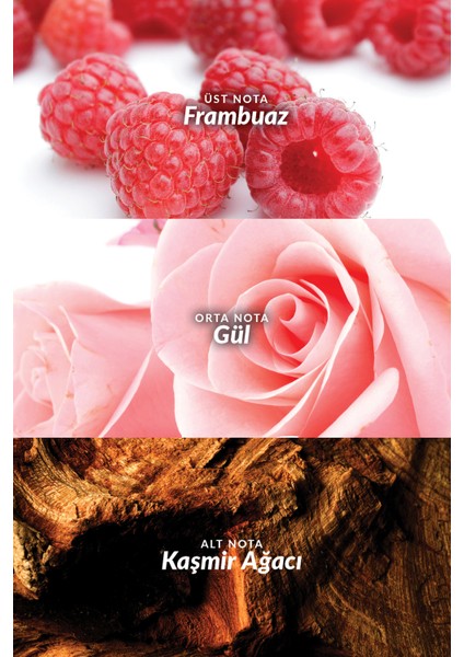Lov U Kadın Parfüm ve Vücut Losyonu Paketi indirimleri